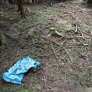 Fundort von Peggys Leiche