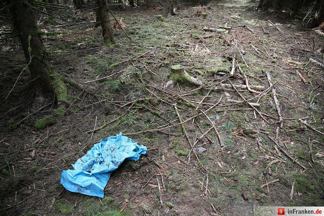 Fundort von Peggys Leiche