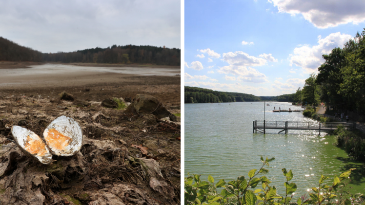 Ellertshäuser See: Unterfrankens größter Stausee läuft wieder voll