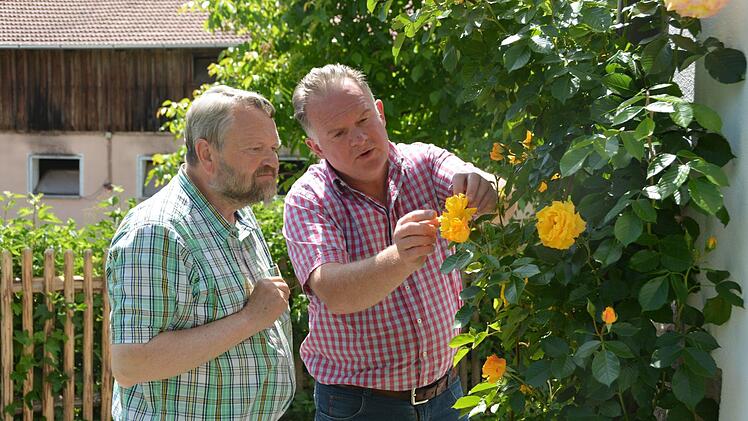 Rosenexperten unter sich: Bernard Michaelis (rechts) zeigt Kreisfachberater Friedhelm Haun seine üppiog blühenden Kletterrosen. Foto: Dagmar Besand