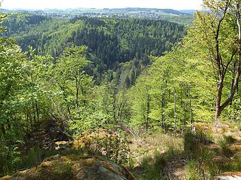 Grandiose, unber&uuml;hrte Natur erwartet den Wanderer im H&ouml;llental im Frankenwald. &Uuml;ber dieses werden wohl bald zwei gigantische H&auml;ngebr&uuml;cken gespannt - ein umstrittenes Projekt zur Tourismusgewinnung. Foto: dpa