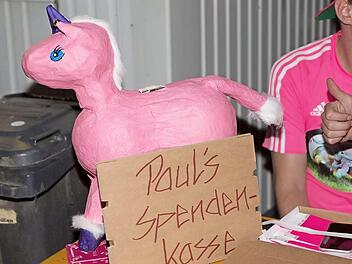 "Paul, der Gaul" ist ein fleißiger Spendensammler. Foto: Jennifer Hauser