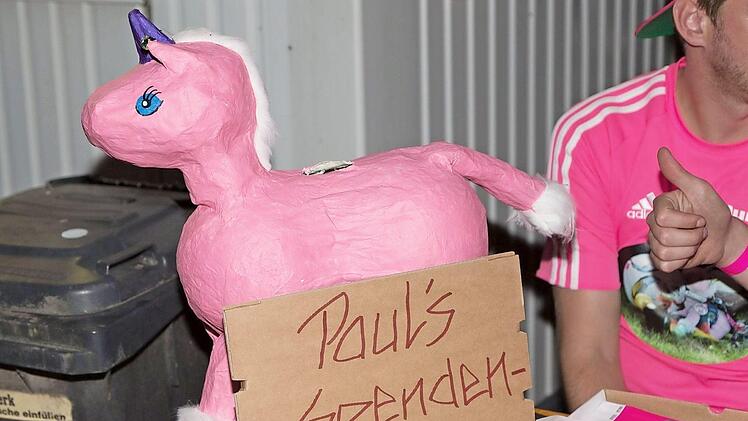 "Paul, der Gaul" ist ein fleißiger Spendensammler. Foto: Jennifer Hauser