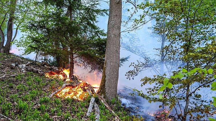 Waldbrand in Werdohl