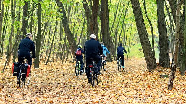 Tipp für Radtouren: Das Fichtelgebirge sorgt mit einem umfassenden Radwegenetz für Erholung, Abenteuer und sportliche Herausforderung - für alle Altersgruppen. Foto: pixabay / Candid Shot