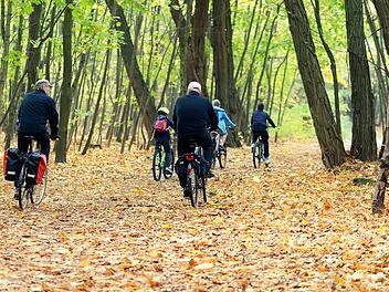 Tipp für Radtouren: Das Fichtelgebirge sorgt mit einem umfassenden Radwegenetz für Erholung, Abenteuer und sportliche Herausforderung - für alle Altersgruppen. Foto: pixabay / Candid Shot