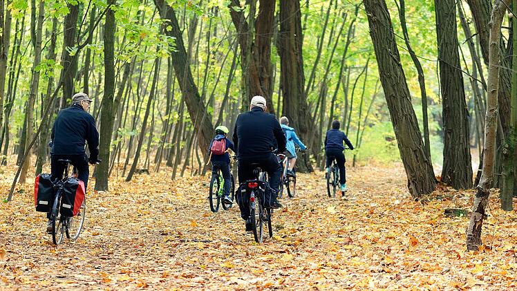 Tipp für Radtouren: Das Fichtelgebirge sorgt mit einem umfassenden Radwegenetz für Erholung, Abenteuer und sportliche Herausforderung - für alle Altersgruppen. Foto: pixabay / Candid Shot