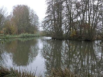 Die Entlandung des Badweihers will die Gemeinde Weisendorf in Eigenregie vergeben, deswegen haben die Arbeiten noch nicht begonnen. Foto: Richard Sänger