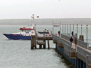 Buckelwal vor Ostseek&uuml;ste wieder gesichtet