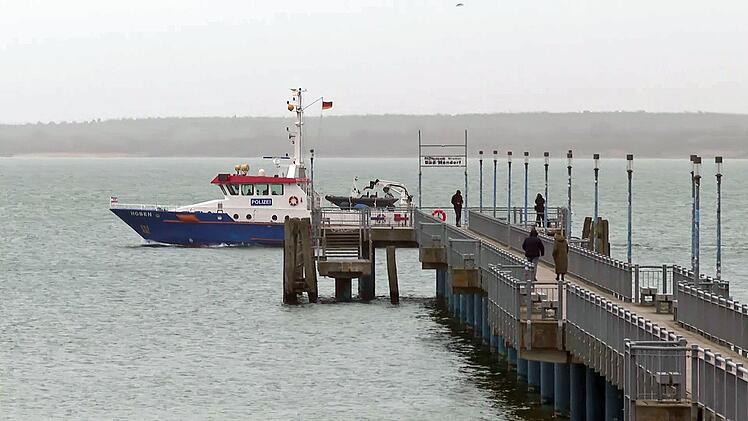 Buckelwal vor Ostseek&uuml;ste wieder gesichtet