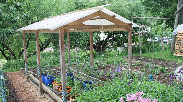 Alte Gem&uuml;searten erleben ihre Renaissance im Garten. Doch wie pflanze ich Salat richtig an und wo halte ich am besten die Tomaten? Foto: Josef Schr&ouml;der