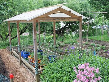 Alte Gemüsearten erleben ihre Renaissance im Garten. Doch wie pflanze ich Salat richtig an und wo halte ich am besten die Tomaten? Foto: Josef Schröder