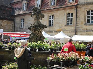 Der Schlosshof lieferte die ideale Kulisse für den Markt.Foto: Katharina Müller-Sanke
