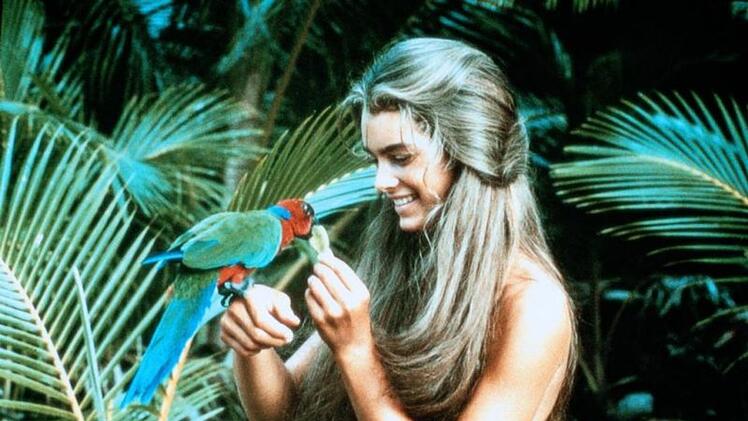 Brooke Shields feierte mit "Die blaue Lagune" ihren gro&szlig;en Durchbruch, den Ruf als Lolita des Kinos hatte sie bis dato aber schon weg.