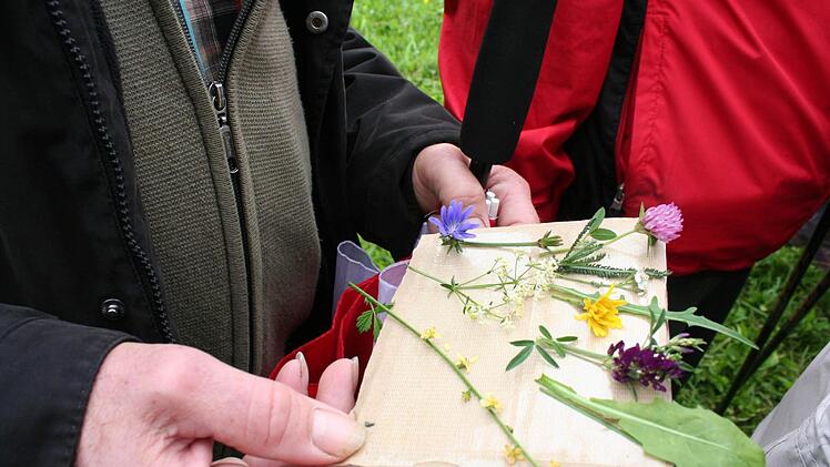 Und so sah die Ausbeute aus. Foto: Evi Seeger
