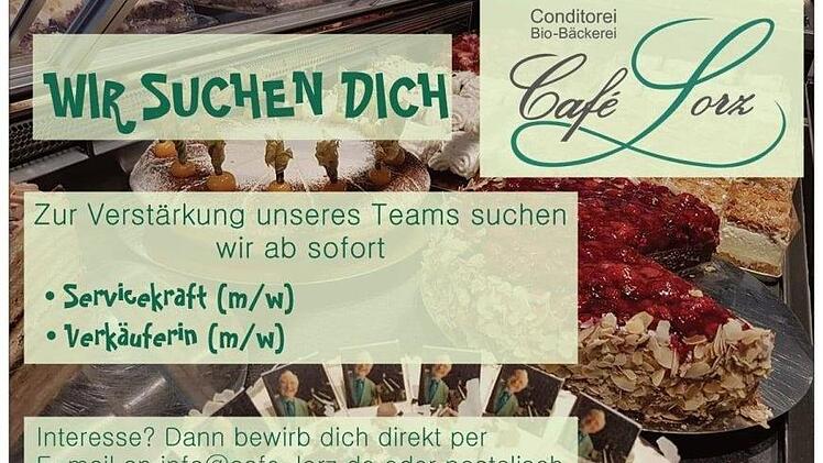 Noch im Februar suchte Lorz Verstärkung.
