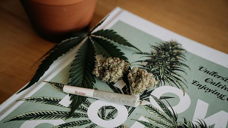Forscher*innen haben den Zusammenhang zwischen Cannabis-Konsum und Thrombose untersucht.