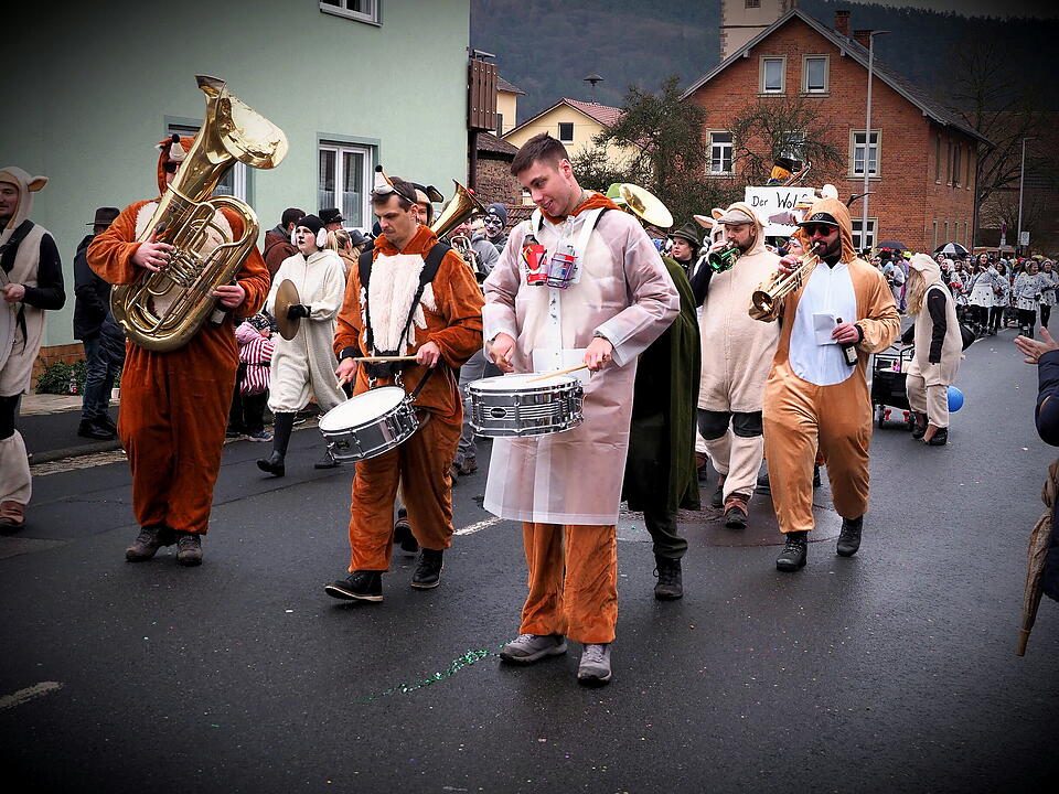 Fasching 2024 in Steinach