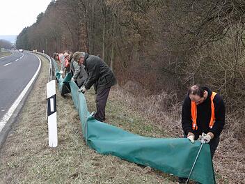 An zehn Standorten wurden auch in diesem Jahr rund 3580 Meter Amphibienschutzzaun aufgestellt. Unser Bild zeigt den Aufbau des Zaunes zwischen Jesserndorf und Gemünd. Derzeit sind die Naturschützer wieder täglich am Frösche-Tragen. Praktikant Philipp Hoos betreut den Amphibienschutz in diesem Jahr. Wer beim nächtlichen Sammeln mithelfen möchte, kann sich gerne per Email melden: hoos@ifbi.net