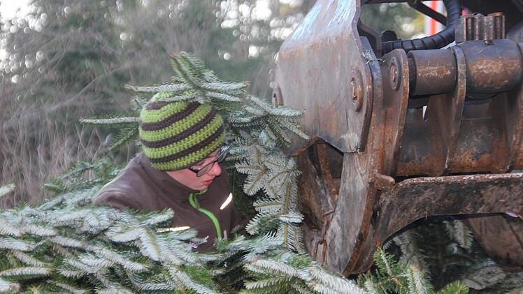Max Mantel befestigt die Äste.Veronika Schadeck