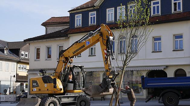 Die erste Linde erhielt ihren Stand- und Wuchsort vor der Hypovereinsbank.  Foto: Manja von Nida