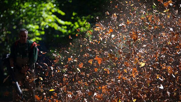 Ob mit Laubbläser oder per Hand: Laub fegen gehört im Herbst zum Alltag.  Doch wer ist dafür zuständig? Foto: Marijan Murat/dpa