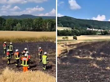 Flächenbrand bei Litzendorf - Video zeigt Ausmaß der Zerstörung