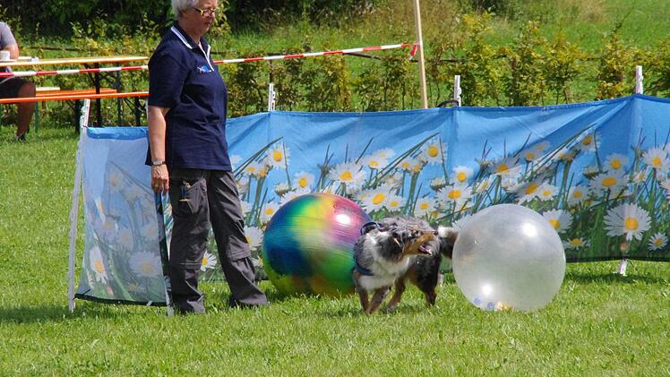 Das Team leistet gute Arbeit: Bärbl Runggaldier bekommt Ball für Ball von ihrer Hündin "Alika" abgeliefert. Foto: Marco Meißner