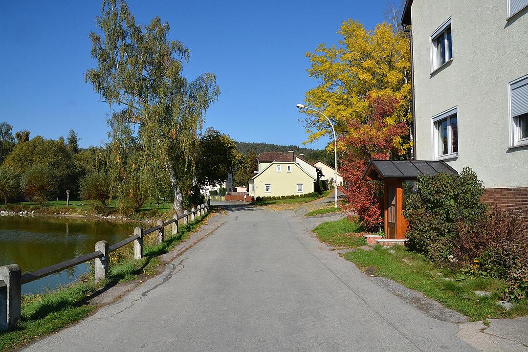 05.11.2015  Fotoreportage Thann