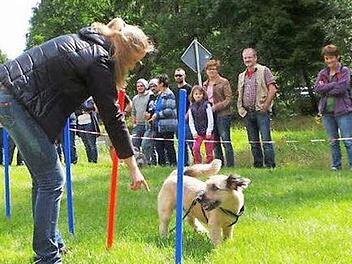 Bei der Zamperlshow steht der Spa&szlig; im Vordergrund. Foto: privat