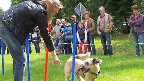 Bei der Zamperlshow steht der Spa&szlig; im Vordergrund. Foto: privat