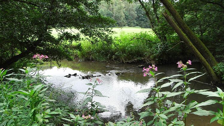 Foto: Joachim Rübel