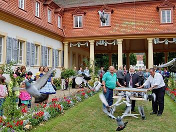 Spektakel: Etwa 80 Brieftauben ließ Taubenzüchter Paul Beck in den blauen Himmel starten. Foto: Sigismund von Dobschütz
