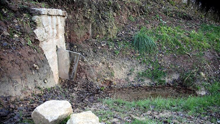 Sie ist das neueste Projekt der Stiftung "Dorfgemeinschaft 1150 Jahre Gemünda": die Quelle an der Heiligenleite, unweit der beliebten Kapelle. Foto: Bettina Knauth