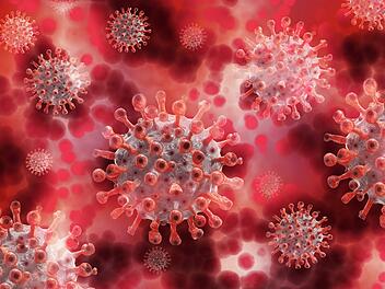 Das sogenannte "Heartland-Virus" wird mehreren Untersuchungen zufolge durch Zeckenbisse übertragen.