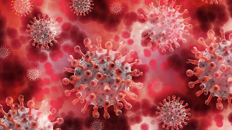 Das sogenannte "Heartland-Virus" wird mehreren Untersuchungen zufolge durch Zeckenbisse übertragen.