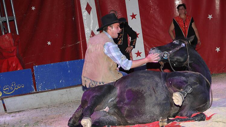 Auf ausdrücklichen Wunsch gibt "Jolly Joker" seinen Herrn sogar einen Kuss. Foto: Gerda Völk