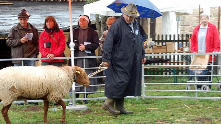 Die besten Fuchsschafe aus dem Bundesgebiet waren am Wochenende in der Alten Schäferei zu bestaunen.