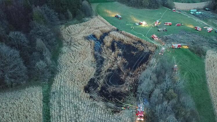 Foto: News5/Merzbach