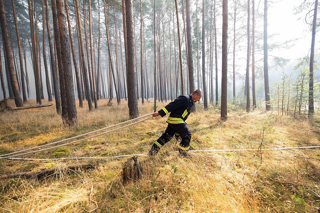 Waldbrand nahe der A9: 90 Hektar stehen in Flammen