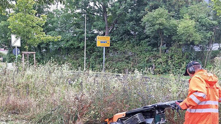 Die Stadt Bad Kissingen entwickelt aktuell ein neues Pflegekonzept für öffentliche Grünflächen.