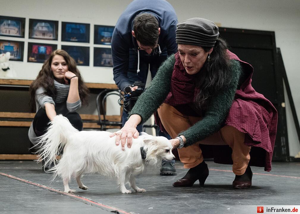 Casting für kleine Hunde am Landestheater Coburg