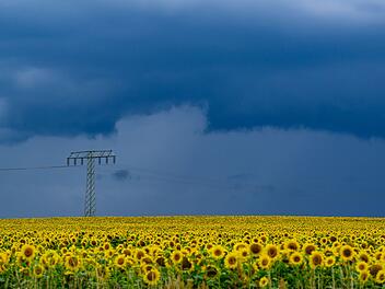 Wetter in Brandenburg