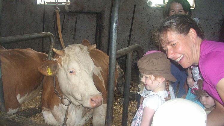 Die Kinder schauten sich die Kühe im Stall an. Foto: Kindergarten St. Andreas