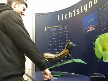 Im Haus der Langen Rhön ist die Wanderausstellung "Ideenlabor Natur" zu sehen. Foto: Michael Dohrmann