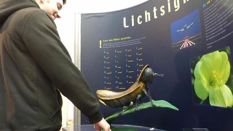 Im Haus der Langen Rhön ist die Wanderausstellung "Ideenlabor Natur" zu sehen. Foto: Michael Dohrmann