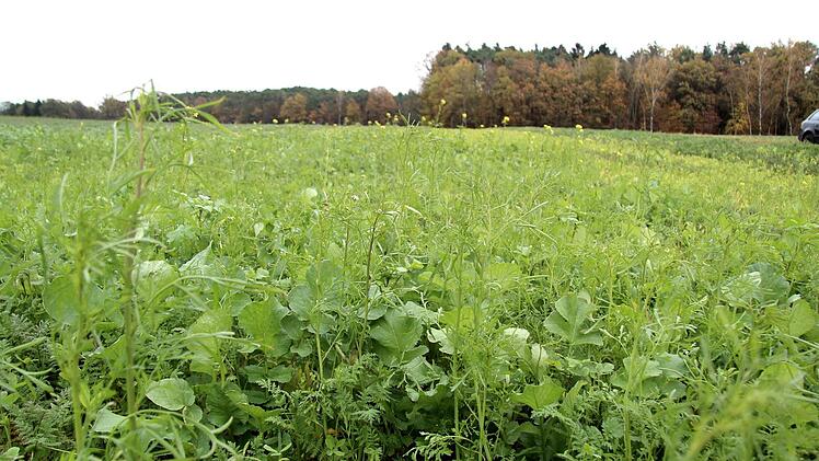 Eindrücke von der Info-Veranstaltung   Richard Sänger