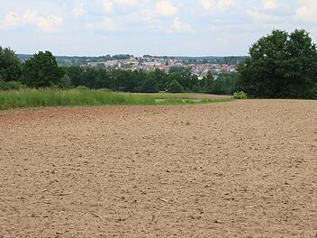Dieses Gelände am Galgenberg in Höchstadt-Süd soll Wohngebiet werden. Damit will die Stadt ihre Liste von 260 Baubewerbern abbauen. Ein Bebauungsplan dafür wurde in ein beschleunigtes Verfahren geschickt.  Foto: Andreas Dorsch