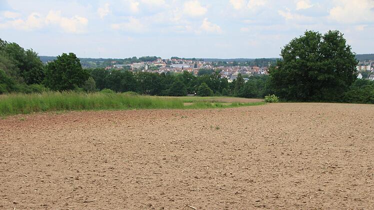 Dieses Gelände am Galgenberg in Höchstadt-Süd soll Wohngebiet werden. Damit will die Stadt ihre Liste von 260 Baubewerbern abbauen. Ein Bebauungsplan dafür wurde in ein beschleunigtes Verfahren geschickt.  Foto: Andreas Dorsch
