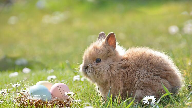 Neustadt b. Coburg: Traditionelle Fr&uuml;hlingsfeier findet wieder statt - mit spannenden Aktionen f&uuml;r Kinder